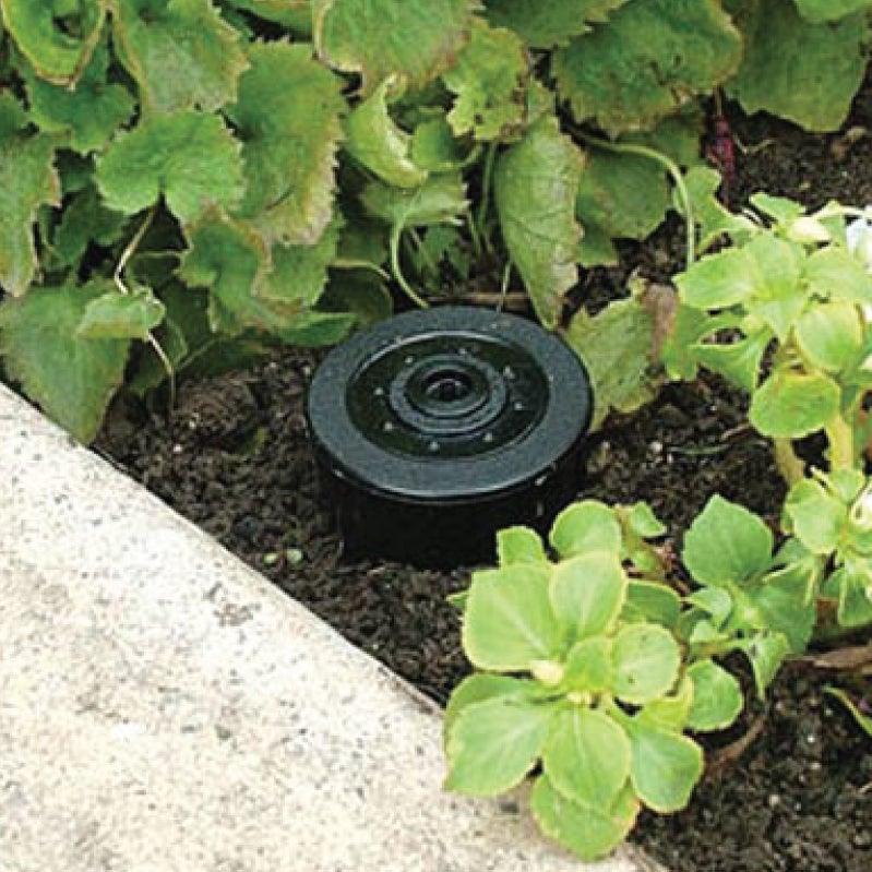Sprinkler Head Key Hider Diversion Safe Security Safes Shield Protection Products LLC.